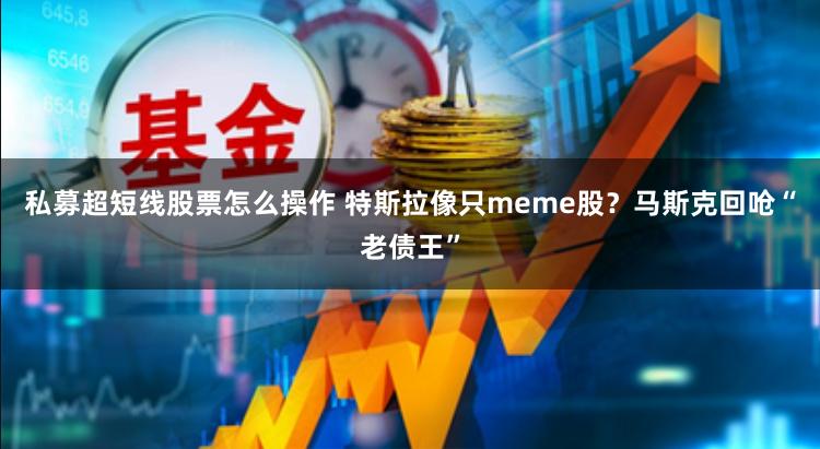 私募超短线股票怎么操作 特斯拉像只meme股？马斯克回呛“老债王”