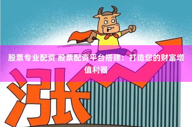 股票专业配资 股票配资平台搭建：打造您的财富增值利器