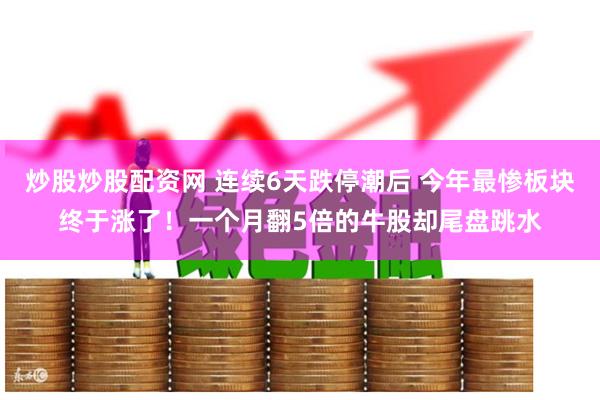 炒股炒股配资网 连续6天跌停潮后 今年最惨板块终于涨了！一个月翻5倍的牛股却尾盘跳水