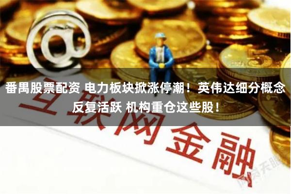 番禺股票配资 电力板块掀涨停潮！英伟达细分概念反复活跃 机构重仓这些股！